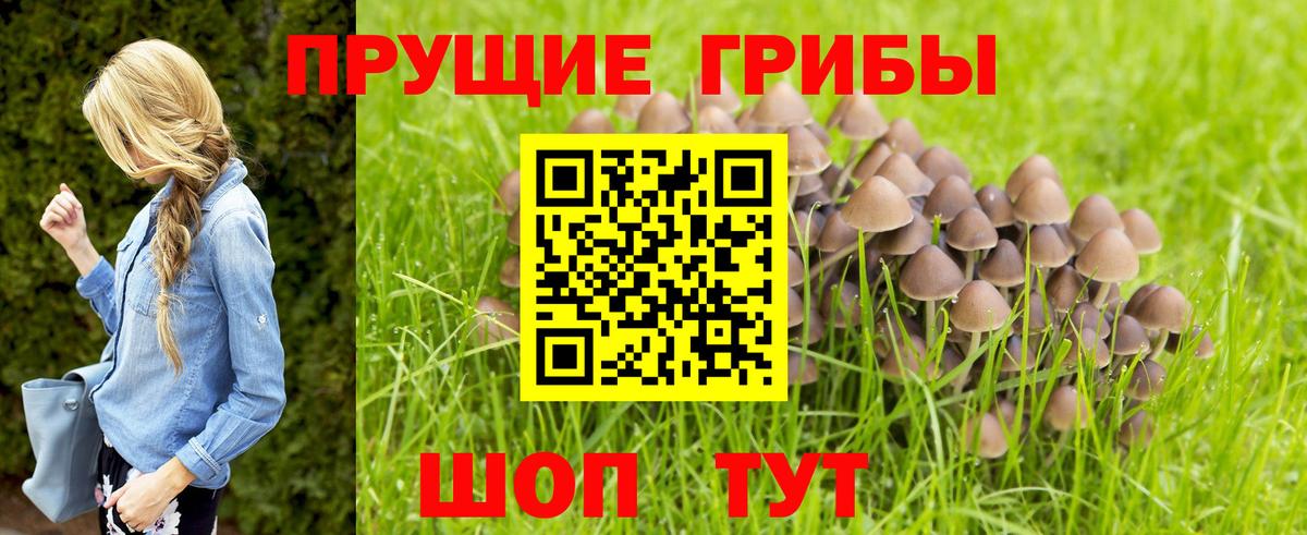 Шелехов  Галлюциногенные грибы ЛСД  Вход с VPN  Псилоцибиновые грибы мухоморы 